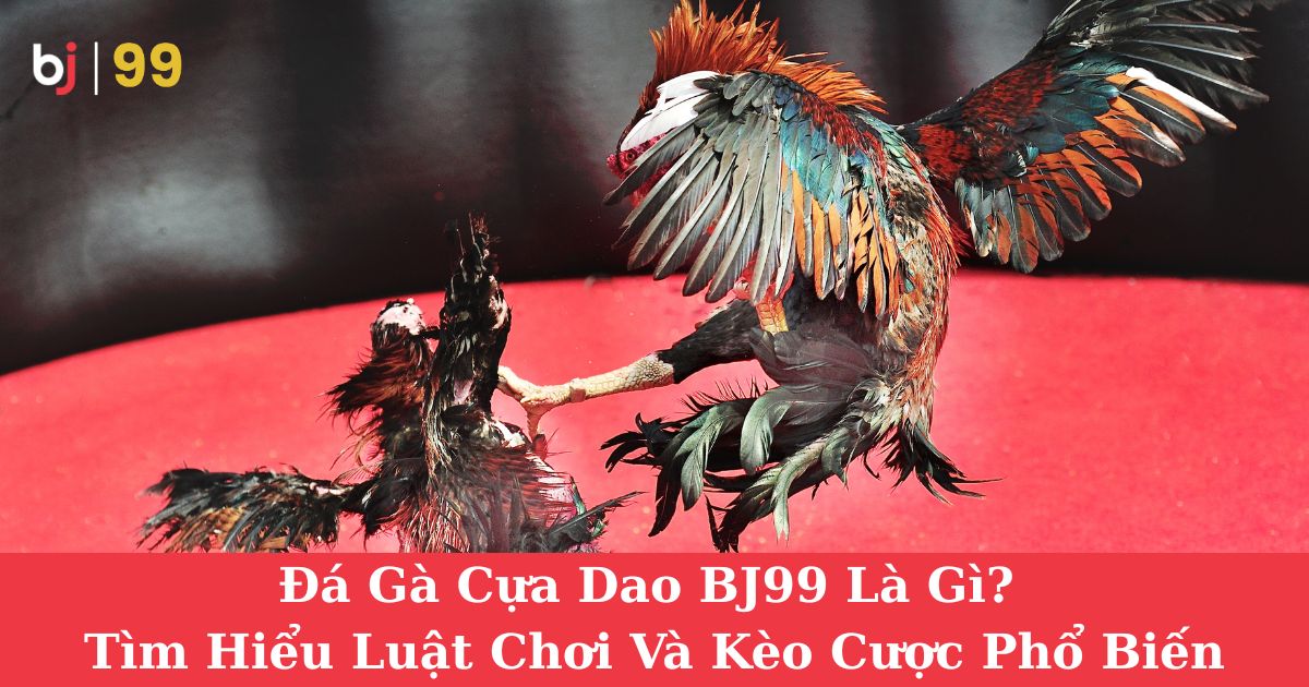 Đá Gà Cựa Dao BJ99 Là Gì? Tìm Hiểu Luật Chơi Và Kèo Cược Phổ Biến
