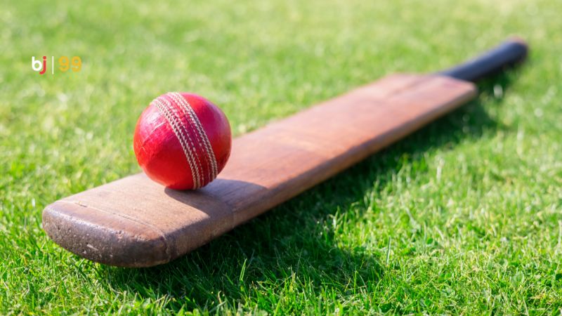 Cá cược cricket tại BJ99 có những ưu điểm gì?
