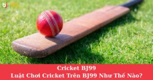 Cricket BJ99: Luật Chơi Cricket Trên BJ99 Như Thế Nào?